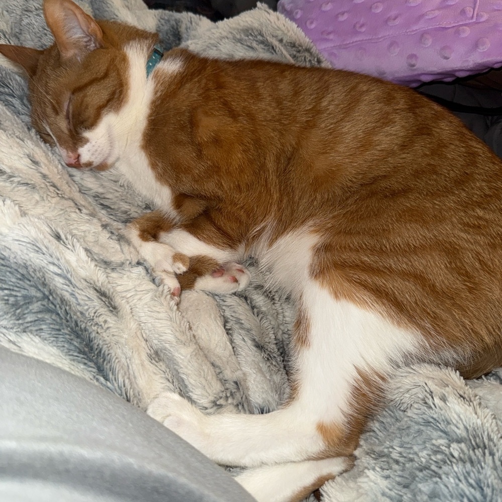 Meet your Posher, Quintrell